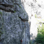 nagykep_445